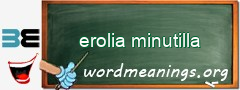 WordMeaning blackboard for erolia minutilla